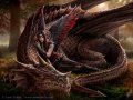 winged companions.jpg